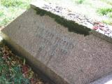 image of grave number 559574